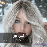 ترکیب رنگ آیس کول (یخی) کد 9028