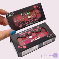رژ پالتی 10 رنگ بارین