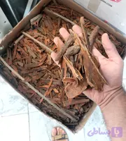 دارچین (کد ILRHB)