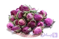 غنچه داراب