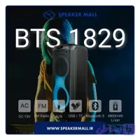 اسپیکر بلوتوثی BTS-1829