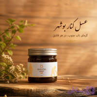 عسل ارگانیک کنار ( عسل سدر )