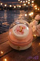 باکس کیک و جعبه جواهرات (کد ORGJD)