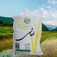 برنج هاشمی ممتاز گیلان 10 کیلوگرمی