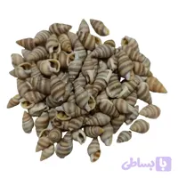 صدف ریز طوسی(30گرم) مدل pkstt06