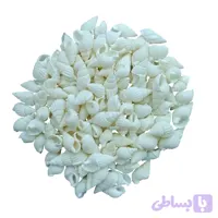 صدف ریز(30گرم) رنگ سفید مدلpkst05