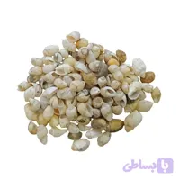 صدف ریز رنگ کرم(30گرم) مدل pkst04