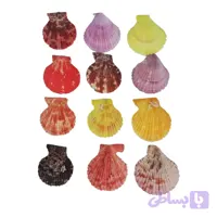 صدف تک کفه رنگی چیپسی متوسط(4سانتی متر) 12 عددی