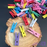 گیره چوبی 2.5 سانت رنگی