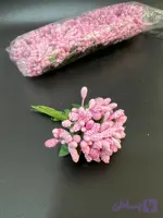 پرچم شکری صورتی