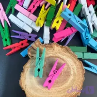 گیره چوبی 3.5 سانت رنگی