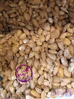 بادام پوست کاغذی 1