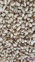 پسته احمد آقایی ( تو چین )