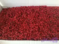 زرشک پفکی عالی