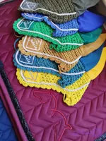 روگوشی اسب