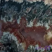 راف شجر