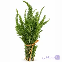 رزماری تازه (سرشاخه)