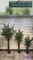 درختچه مصنوعی زیتون با تنه چوب طبیعی