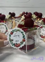 گیفت شب یلدا پلکسی