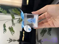 گیفت جشن آب پلکسی