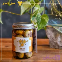 عسل طبیعی و انجیر 500 گرمی