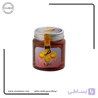 عسل ارگانیک گشنیز پیری 500 گرم