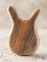 گواشا خرگوشی