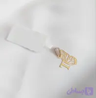 پلاک طلا مدل بال پروانه و T