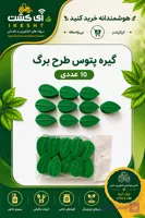 گیره پتوس طرح برگ 10 عددی مواد درجه یک گلینا