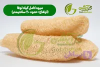 لوفا (لیف گیاهی) - گیاه کامل لوفا