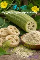 اسفنج گیاهی لوفا یا گیاه لیف جهت تولید محصولات اسکراب و اسفنج ظرفشویی