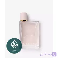 عطر ادکلن باربری هر ادوپرفیوم زنانه | Burberry Her Eau de Parfum