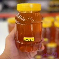 عسل گزانگبین (کد GKX15)