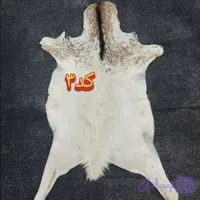 پوست بز دباغی شده درجه عالی (کد HQAK7)
