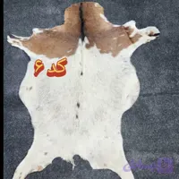 پوست بز دباغی شده درجه یک (کد B0PSR)