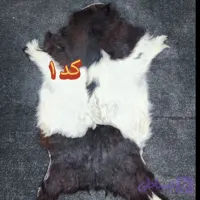 پوست بز دباغی شده درجه یک صادراتی