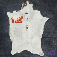 پوست بز دباغی شده درجه یک (کد L688G)