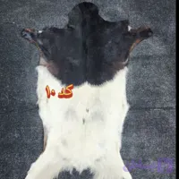 پوست بزی درجه یک دباغی شده