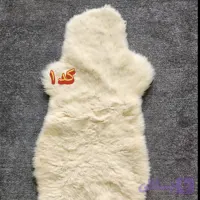 پوست گوسفندی دباغی شده درجه یک (کد S8E60)