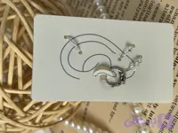 پک پیرسینگ و گوشواره نقره عیار 925