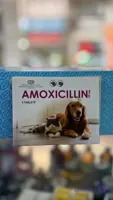 . قرص آموکسی سیلین گرمی Amoxicilline 50mg موثر در درمان