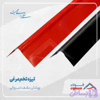 تیزه تخم مرغی