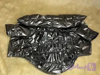 کاپشن سگ و گربه مدل‌هولوگرامی