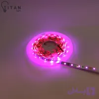 ریسه نواری 12 ولت 5 متری صورتی