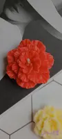 شمع گل شقایق