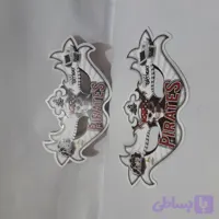 نقاب دزد دریایی