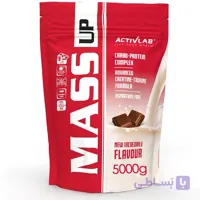 گینر مس اکتیولب 5 کیلوگرم ACTIVE LAB MASS UP 5000 gr