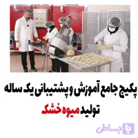 پکیج جامع آموزشی تولید میوه خشک