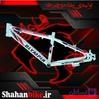 بدنه دوچرخه ۲۰ خام (بدون برچسب)