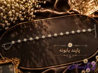 پابند بابونه